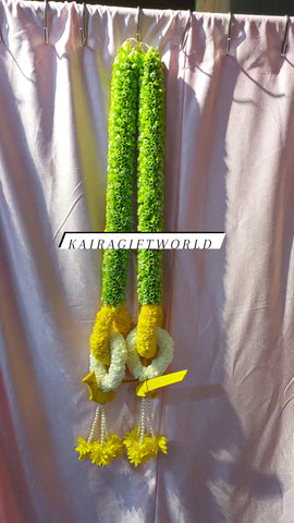 Green /Yellow Parrot Hangings!!! - Set of 2