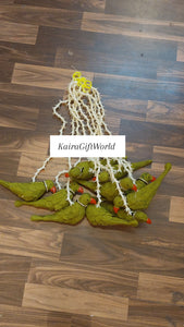 Parrot Hangings!!!