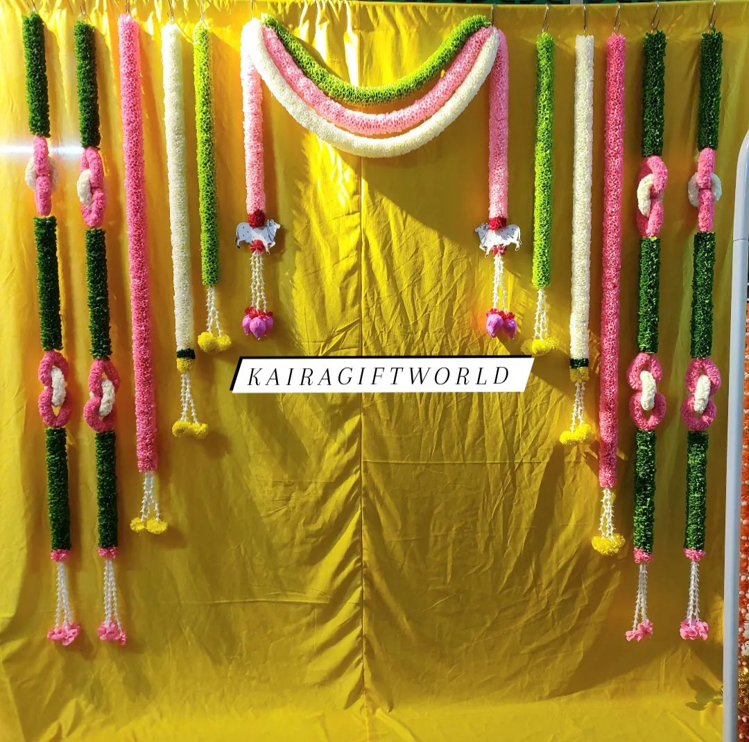 Pink and Green Backdrop Set!!!